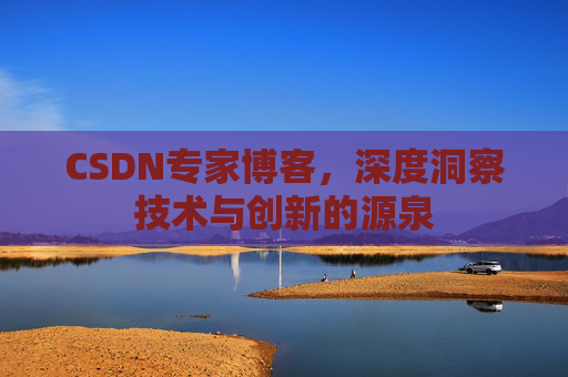 CSDN专家博客，深度洞察技术与创新的源泉